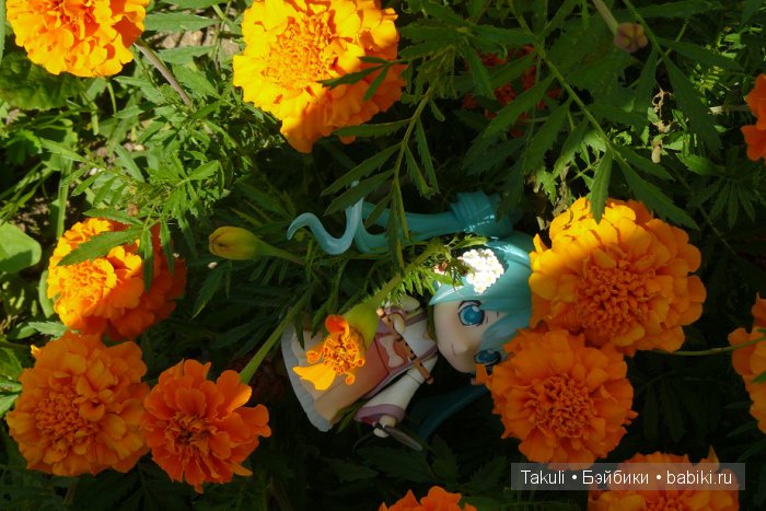 Полная луна: как прекрасно светить днем