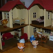 Лунные лисята