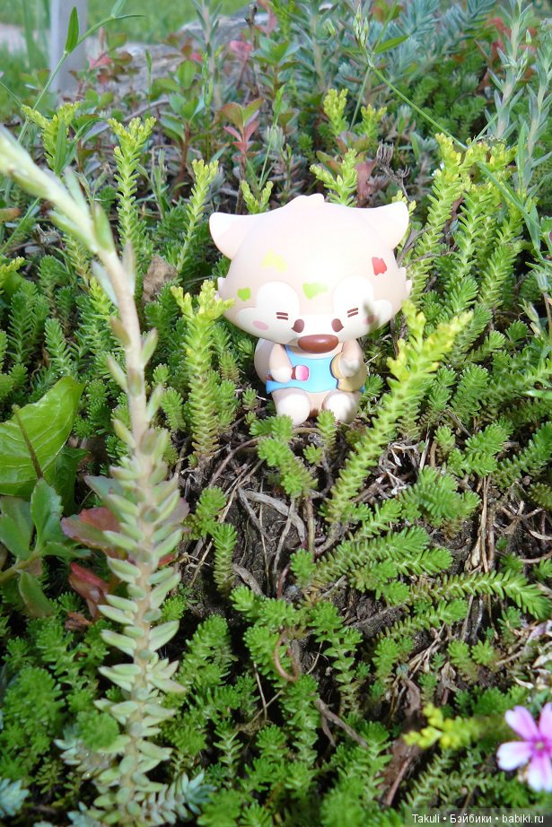 Ностальгия по лунным ландшафтам (фото 2)