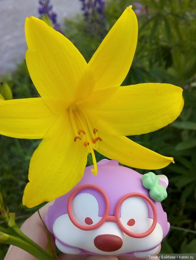 Ностальгия по лунным ландшафтам (фото 6)