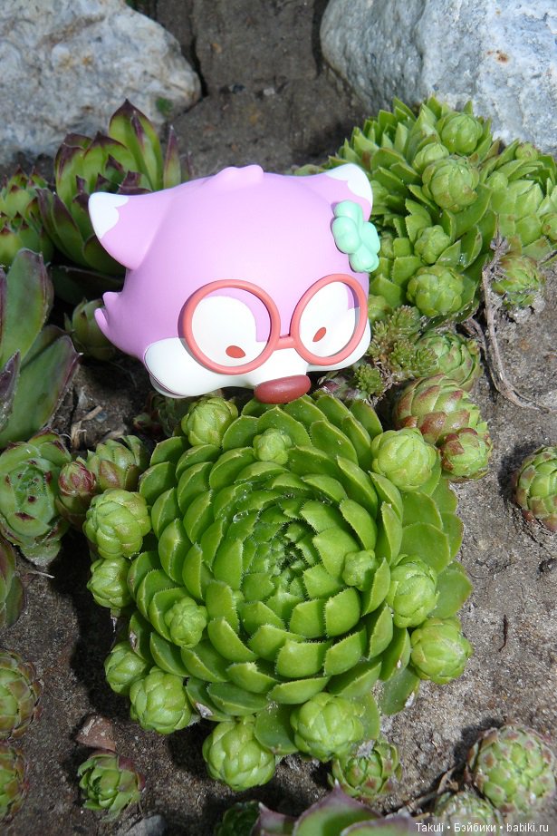 Ностальгия по лунным ландшафтам (фото 5)