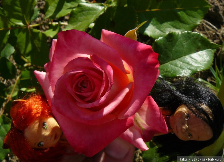 Ждем! Очень ждем — Домашние фото авторских кукол: личные коллекции (фото 6)