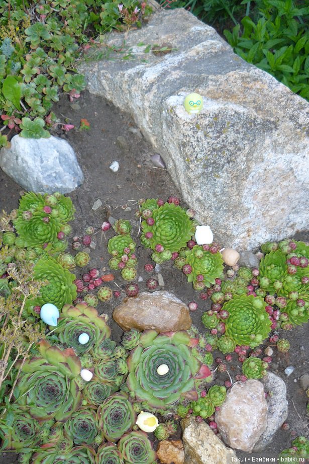 Чему учат в школе? Спецагенты сумикко гураши атакуют наши сердца (фото 6)