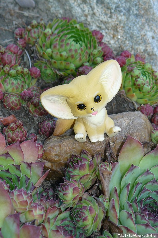 Старая старая сказка. Фенек и улитка