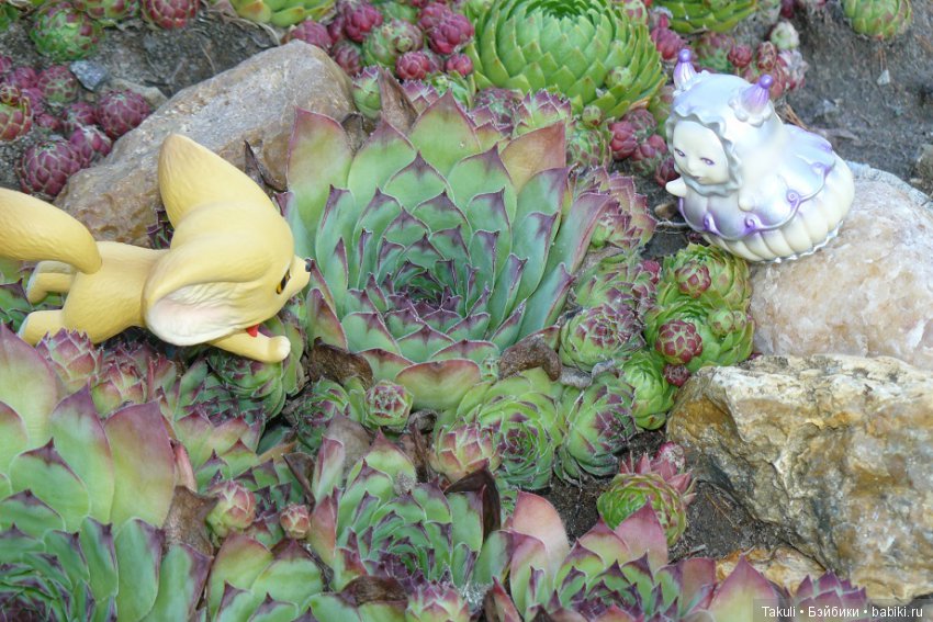 Старая старая сказка. Фенек и улитка