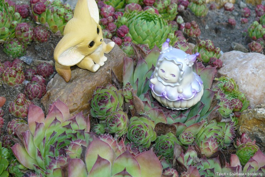 Старая старая сказка. Фенек и улитка (фото 2)