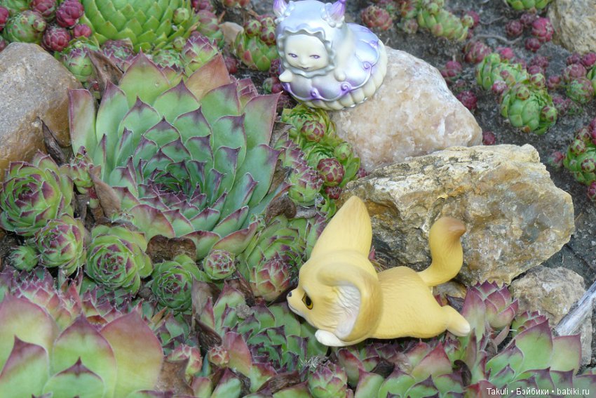 Старая старая сказка. Фенек и улитка (фото 4)