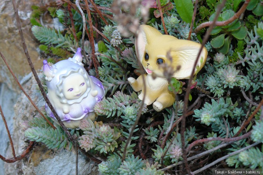 Старая старая сказка. Фенек и улитка (фото 8)