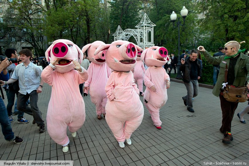 Кигуруми - загадочная японская мода