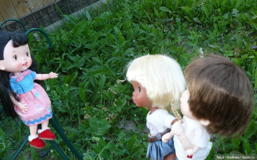 Летний звездопад: время исполнения желаний (фото 5)