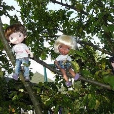 Летний звездопад: время исполнения желаний