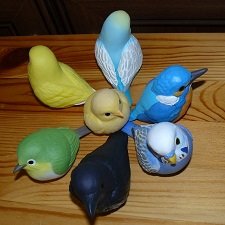 Птички прилетели!