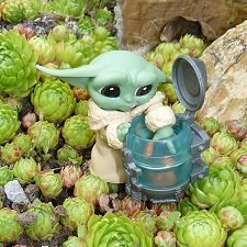 Есть ли жизнь на Марсе?