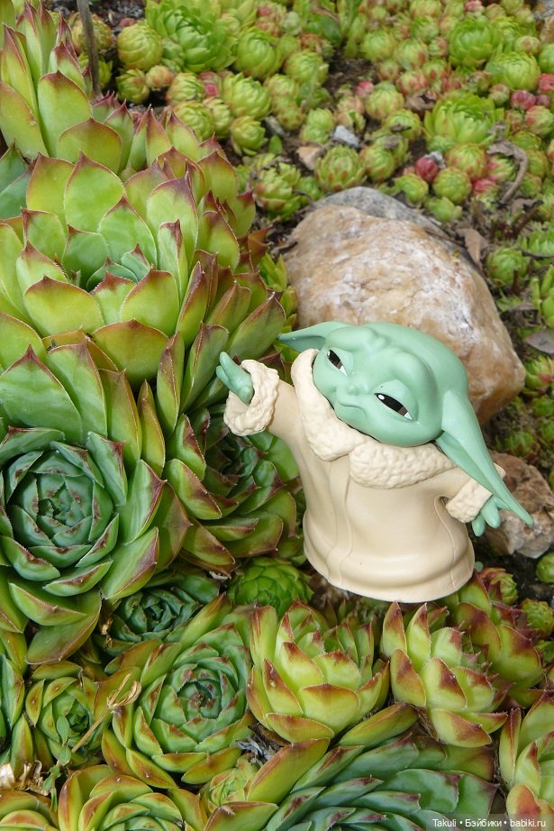 Есть ли жизнь на Марсе | Бэйбики Есть ли жизнь на Марсе — Интересные игрушки и фигурки (разное): редкие