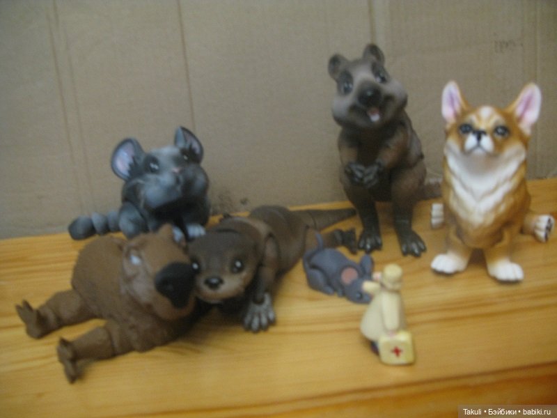 Один день из жизни ветеринаров (фото 2)