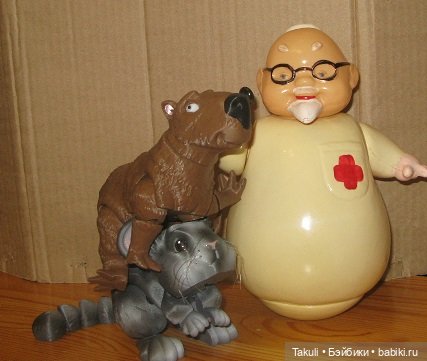 Один день из жизни ветеринаров (фото 6)