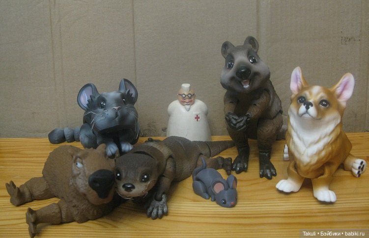 Один день из жизни ветеринаров (фото 3)