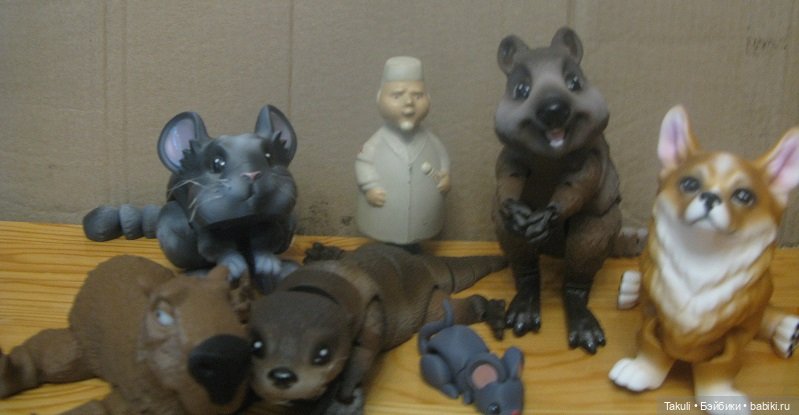 Один день из жизни ветеринаров (фото 4)