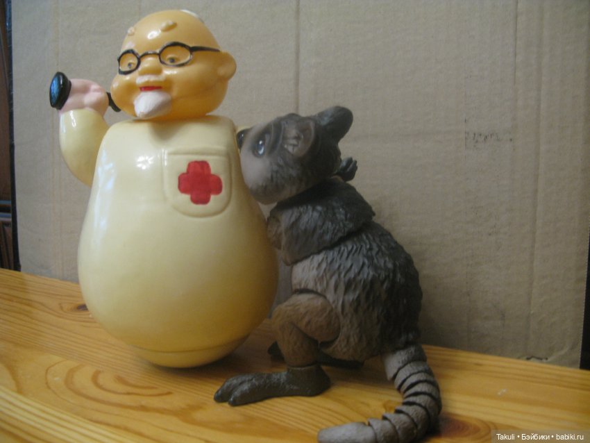 Один день из жизни ветеринаров (фото 5)