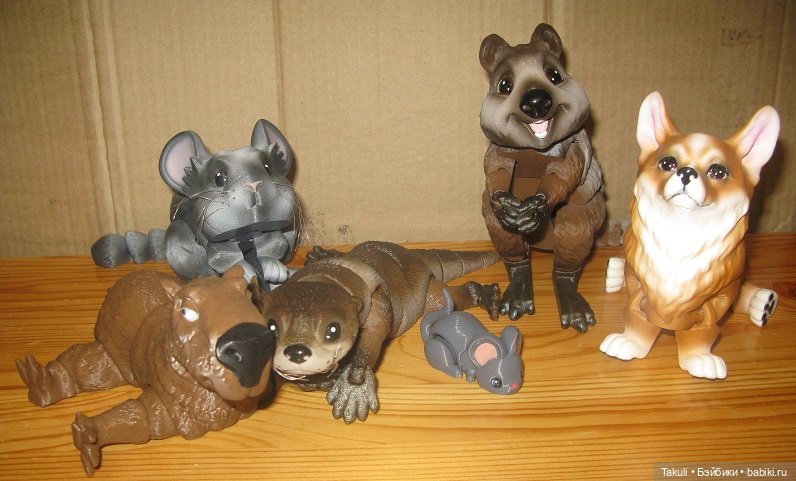 Один день из жизни ветеринаров