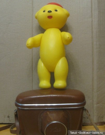 Один день из жизни ветеринаров