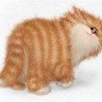 Подарок под ёлочку. Быть или не быть, вот в чем вопрос