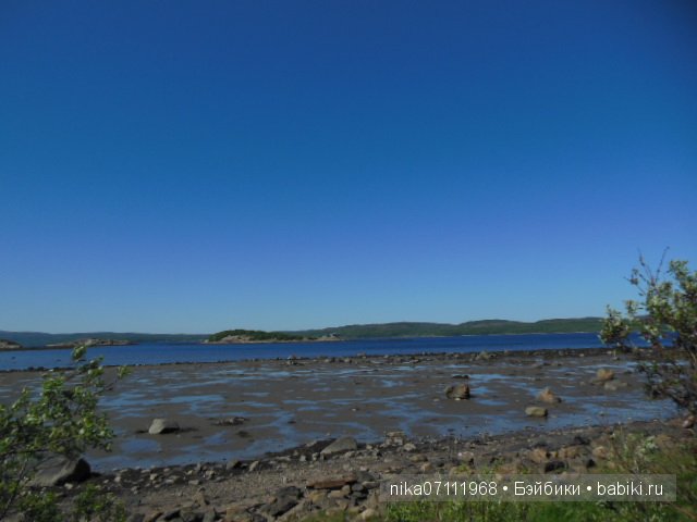 Fair Sage Elf от Kaye Wiggs