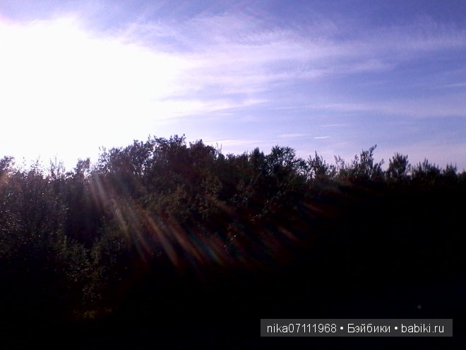 Заполярный круг. Кусочек нашего края. Лето (фото 3)