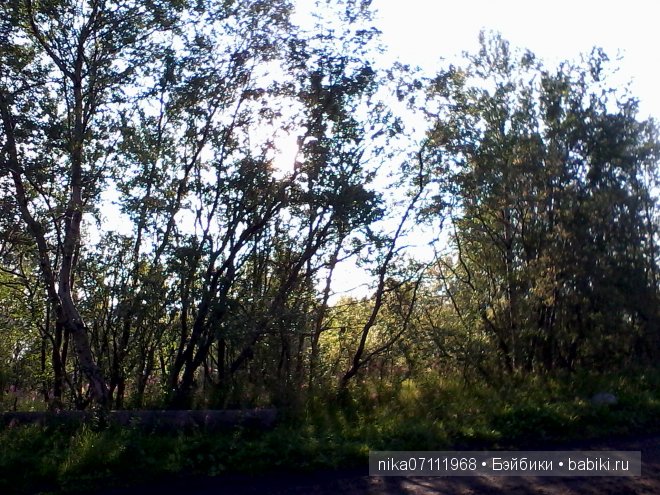 Заполярный круг. Кусочек нашего края. Лето