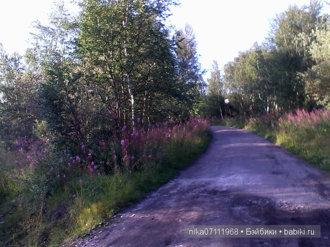 Заполярный круг. Кусочек нашего края. Лето