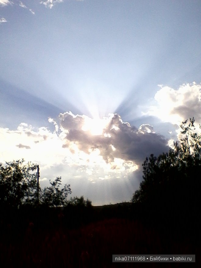 Заполярный круг. Кусочек нашего края. Лето (фото 4)