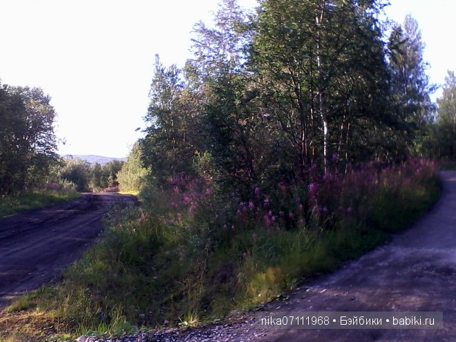 Заполярный круг. Кусочек нашего края. Лето (фото 2)