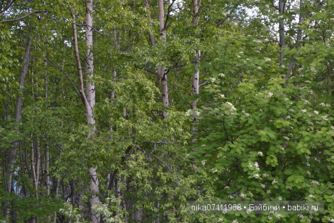 Такое короткое лето...Ла-ла-ла (фото 8)