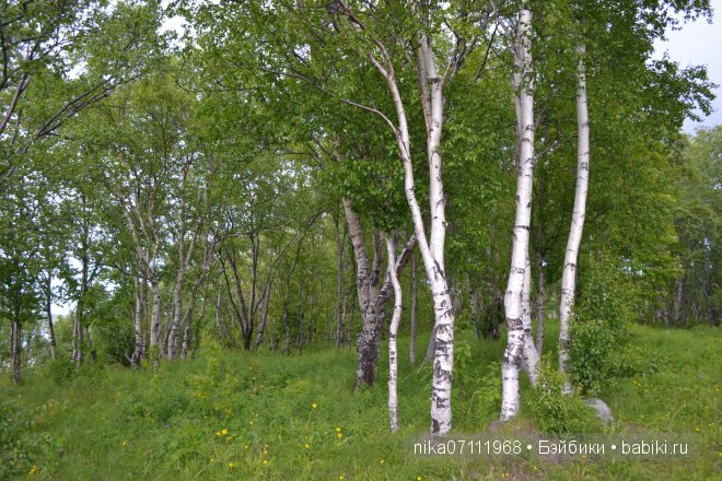 Такое короткое лето...Ла-ла-ла (фото 6)