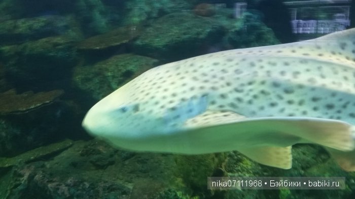 Тайланд моими глазами.Добавила видео