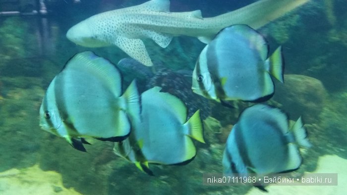 Тайланд моими глазами.Добавила видео