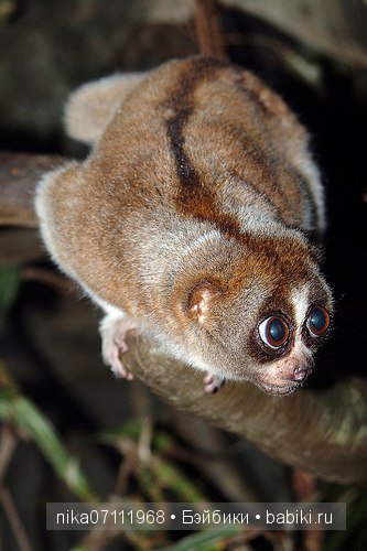 Тайланд моими глазами.Добавила видео