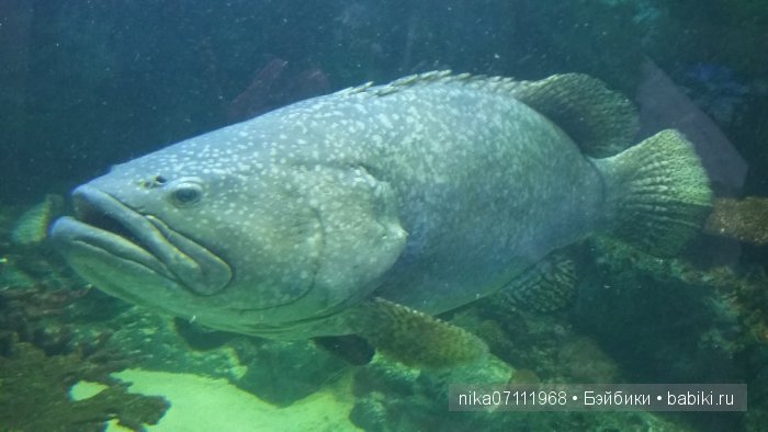 Тайланд моими глазами.Добавила видео