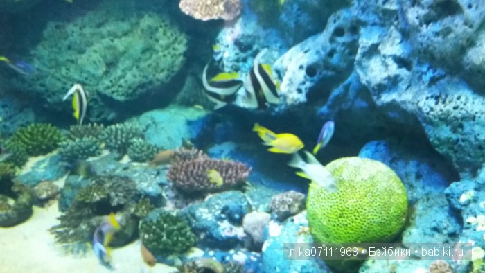 Тайланд моими глазами.Добавила видео