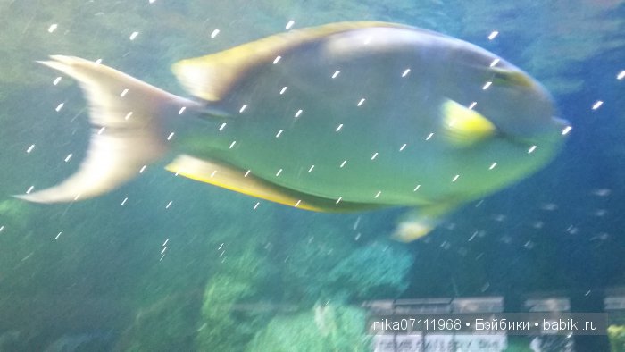 Тайланд моими глазами.Добавила видео