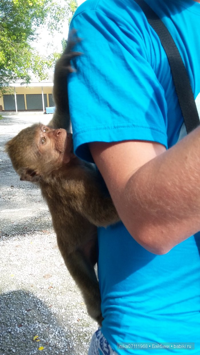 Тайланд моими глазами.Добавила видео