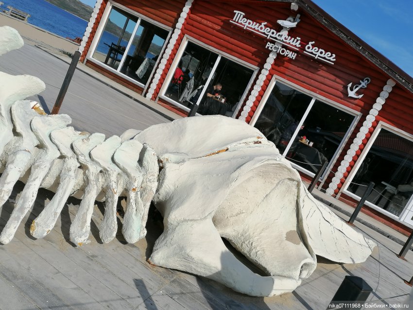 Териберка. Край света💥🔥 — Туризм и путешествия: фотоотчеты из поездок