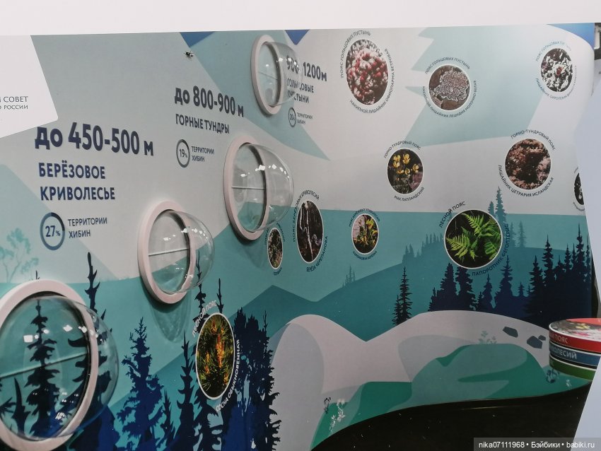 Териберка. Край света💥🔥 — Туризм и путешествия: фотоотчеты из поездок