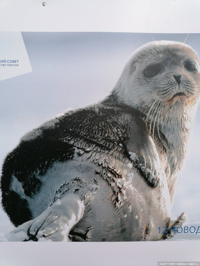 Териберка. Край света💥🔥 — Туризм и путешествия: фотоотчеты из поездок