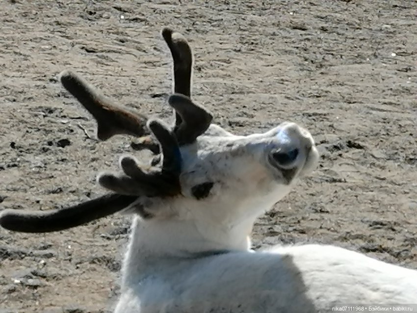 Териберка. Край света💥🔥 — Туризм и путешествия: фотоотчеты из поездок