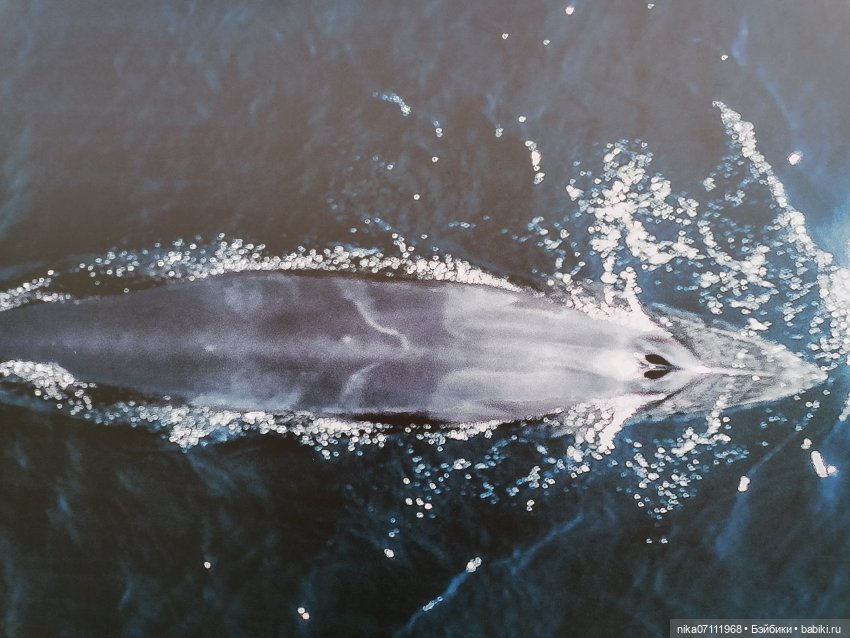 Териберка. Край света💥🔥 — Туризм и путешествия: фотоотчеты из поездок