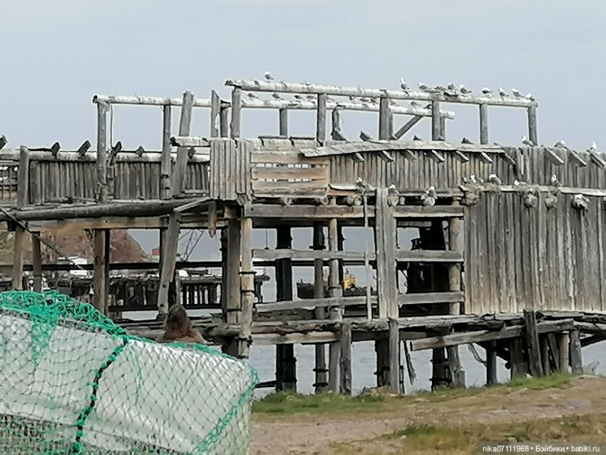 Териберка. Край света💥🔥 — Туризм и путешествия: фотоотчеты из поездок (фото 10)