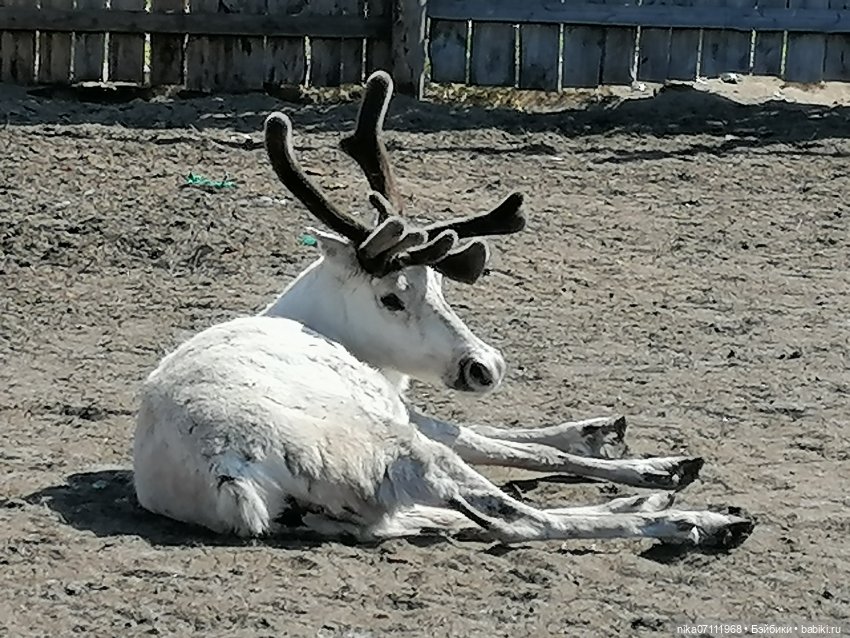 Териберка. Край света💥🔥 — Туризм и путешествия: фотоотчеты из поездок