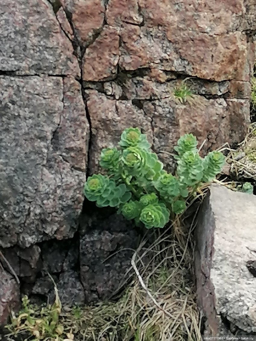 Териберка. Край света💥🔥 — Туризм и путешествия: фотоотчеты из поездок