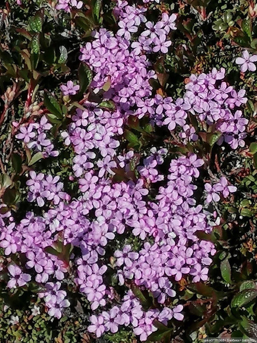 Териберка. Край света💥🔥 — Туризм и путешествия: фотоотчеты из поездок